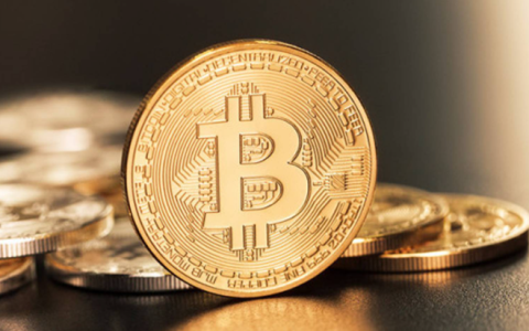 6 个新项目 CoinList 2022年夏季种子项目一览