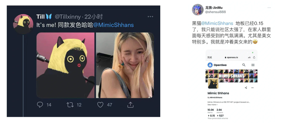 Mimic Shhans（黑猫）NFT 研究：引爆去中心化社区传播的 PFP NFT