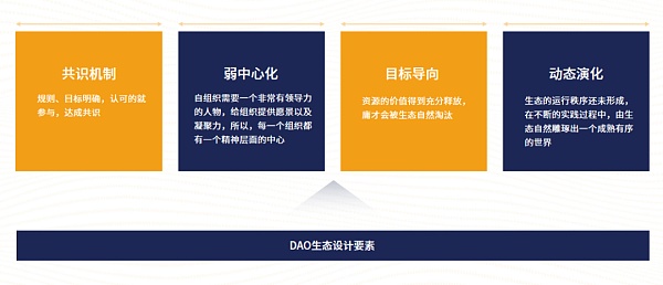 DAO引领新时代组织创新模式