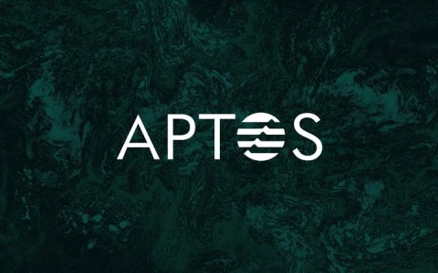 公链Aptos：全面解读Aptos在先发优势下的机遇与挑战