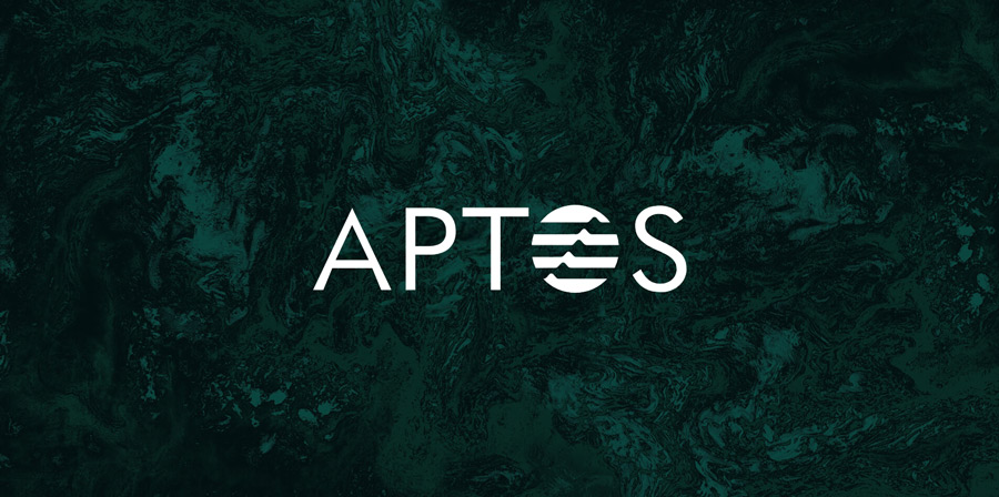 公链Aptos：全面解读Aptos在先发优势下的机遇与挑战