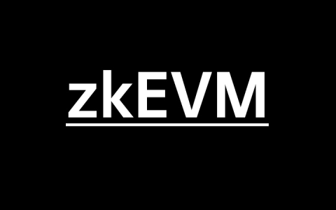 Vitalik：不同类型ZK-EVM的未来