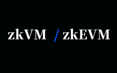 zkVM 和 zkEVM 及其未来