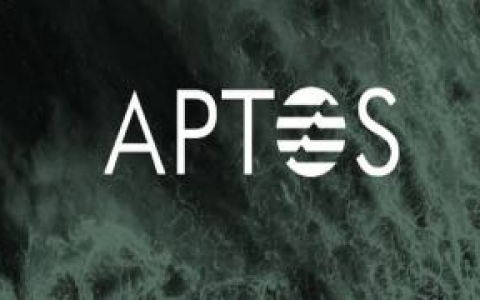 Aptos激励测试网3新功能和参与流程