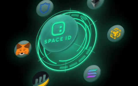 什么样的域名在SPACE ID上更受欢迎？