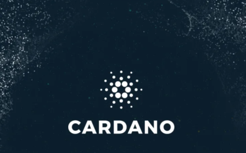 Cardano Vasil升级后,将带来什么