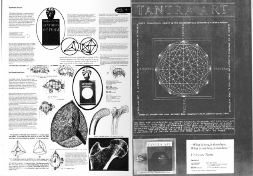 DAO前传：带你重温一场54年前的DAO实验