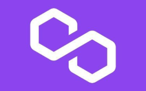 跃进新公链竞争：Polygon如何展开布局？