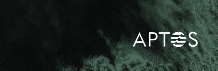 Aptos详解：一文读懂模块化资本公链Aptos