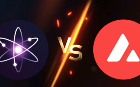 应用链时代，一文对比Avalanche Subnets与Cosmos 2.0