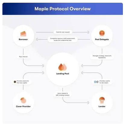 Maple Finance：抵押不足的链上贷款
