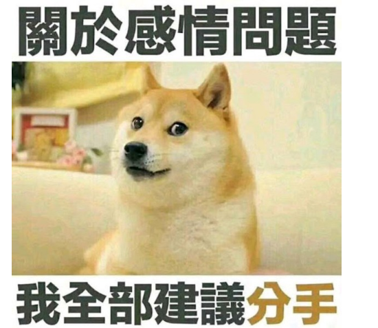 狗狗币的前世今生概览