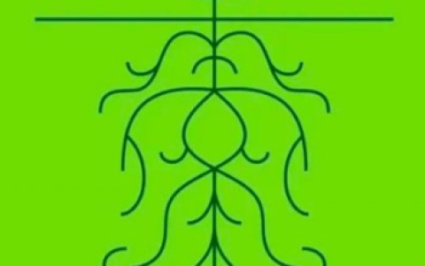 Lens与冬小麦种植艺术：Web3社交的逻辑与机会