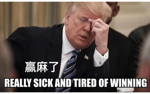 特朗普的NFT，给熊市带来这么多欢乐