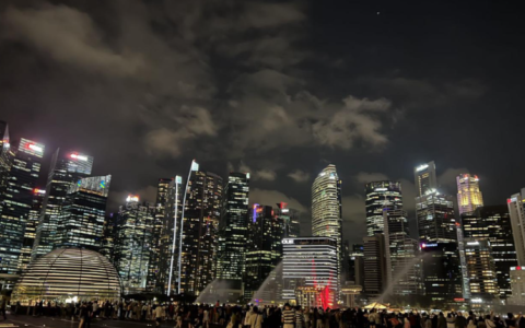 新加坡游记：「失意者」躺赢，风水与Web3