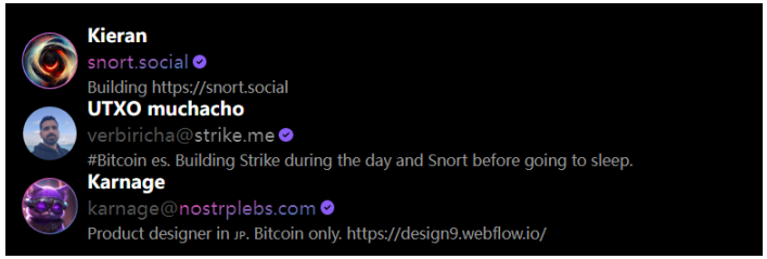 解锁进阶玩法：如何成为Web3社交协议Snort「紫标」用户？