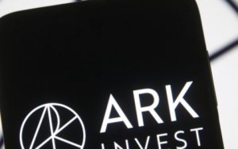 ARK Invest年度报告精华版：2030年，比特币将破100万美元