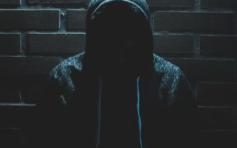揭开数千万美金大盗团伙Monkey Drainer的神秘面纱