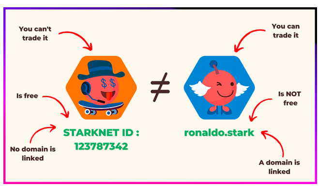 一览Starknet上代表性头部项目