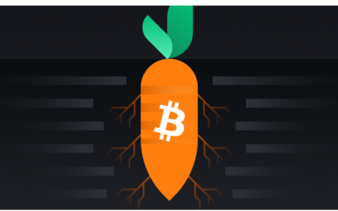 万字解读Bitcoin Ordinals：比特币上的NFT新大陆