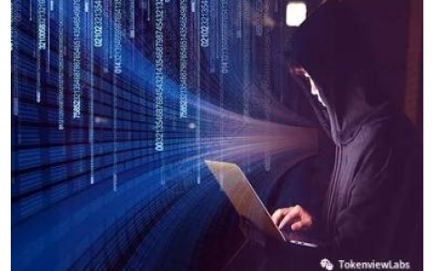 损失2亿美元后续：Euler正与黑客进行链上谈判