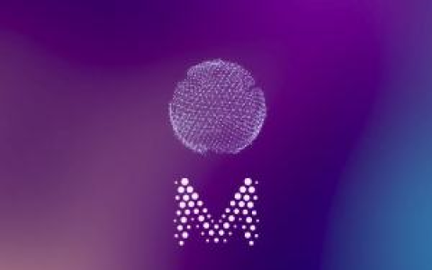 一文读懂分布式超级计算机Muon Network
