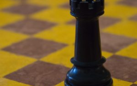 利益冲突、项目停滞，ROOK DAO要解散？