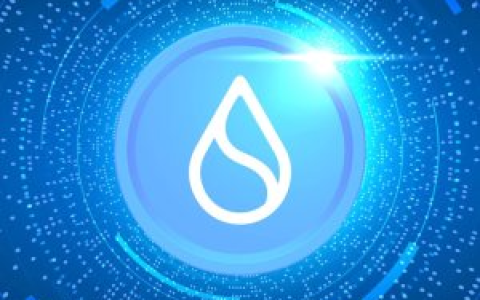 123 页法庭文件还原 FTX 投资 Mysten Labs 情况：透露了哪些 SUI 的信息？