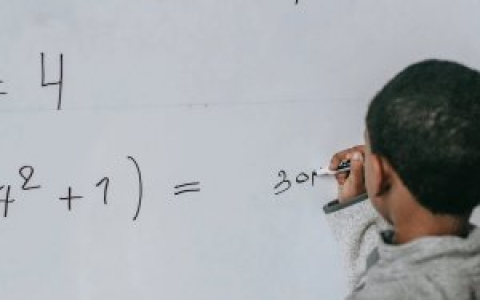 Optimism基金会解读10个教育类PGF项目