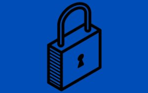 零知识证明结合AI如何解决大规模数据模型隐私等问题？