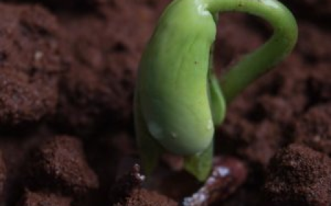 DeFi的火种：一览最近获得融资的5个新项目