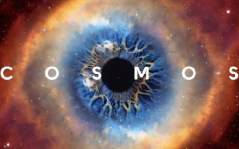 Cosmos应用链究竟有什么魅力？