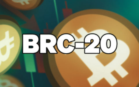 BRC-20市场潮水褪去，聪的计价时代真的来了吗？