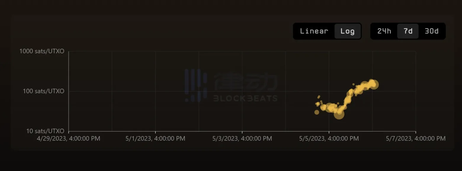 BRC热潮,是散户「最后的狂欢」吗?