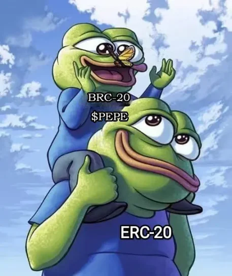 BRC热潮,是散户「最后的狂欢」吗?