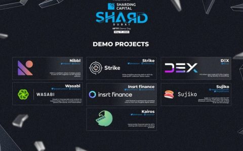 Shard Dubai NFTFi线上Demo Day入选项目速览