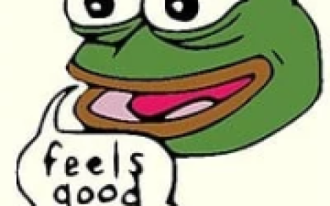 从Meme到加密货币：探究PEPE的奇特历程与风险挑战