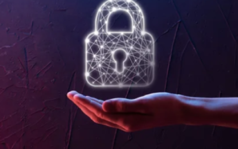 了解FPGA和GPU加速零知识证明计算的优缺点