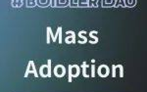 BuidlerDAO x CyberConnect（下）：Mass Adoption 美好图景的实践