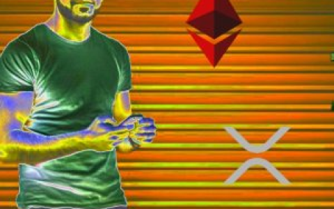 Chainalysis研究报告：散户、老手和机构们，如何给交易所贡献价值？