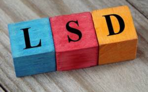 LSD MAP 2.0：格局、数据、趋势、收益、用户等因素分析