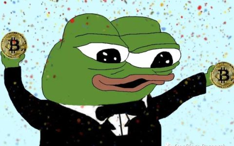 OP Research：Meme Coin热潮是羊群效应的极致表达