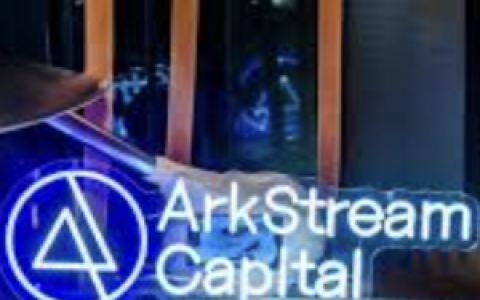 ArkStream Capital 2023 Q2投资的6个项目