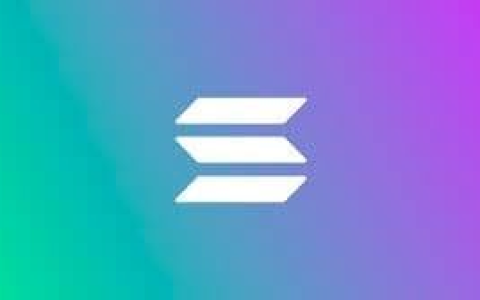 Solana兼容EVM，熊市团结开发者的正确姿势？