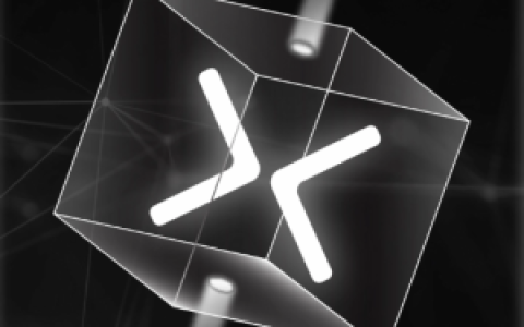 了解CyberConnect现状