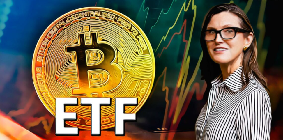 方舟投资CEO大胆预测：SEC或将颠覆惯例，同时批准多个BTC ETF