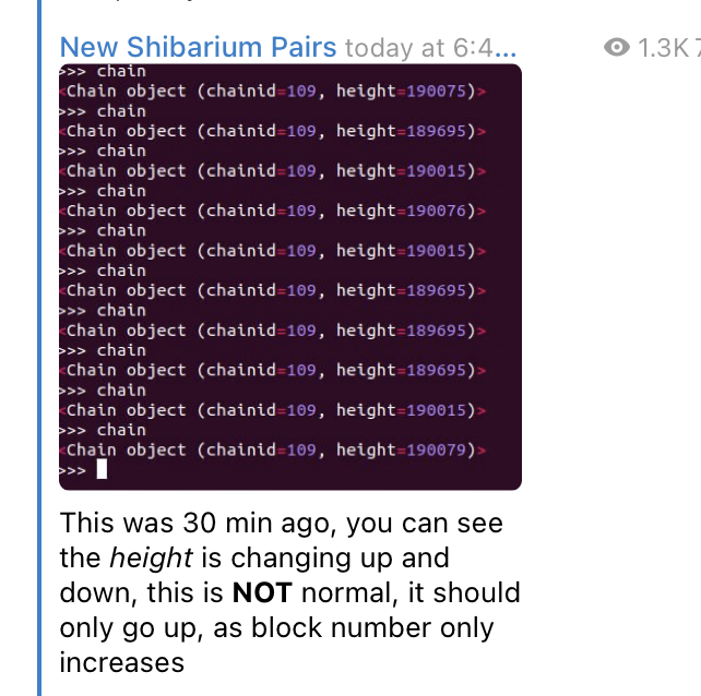 上线就出Bug，Shiba Inu推出的Shibarium主网能走多远？