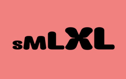 smlXL：a16z参投的EVM开发者入门工具