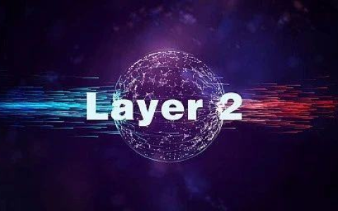 全方位数据对比：谁是L2赛道的明日之星？