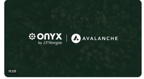 AVAX开始复苏，速览生态中引人注目的7个代表性项目